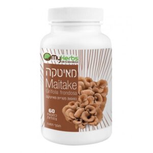 מאיטקה MAITAKE