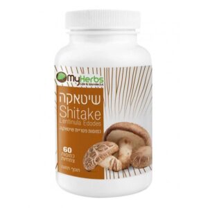 שיטאקה SHIITAKE